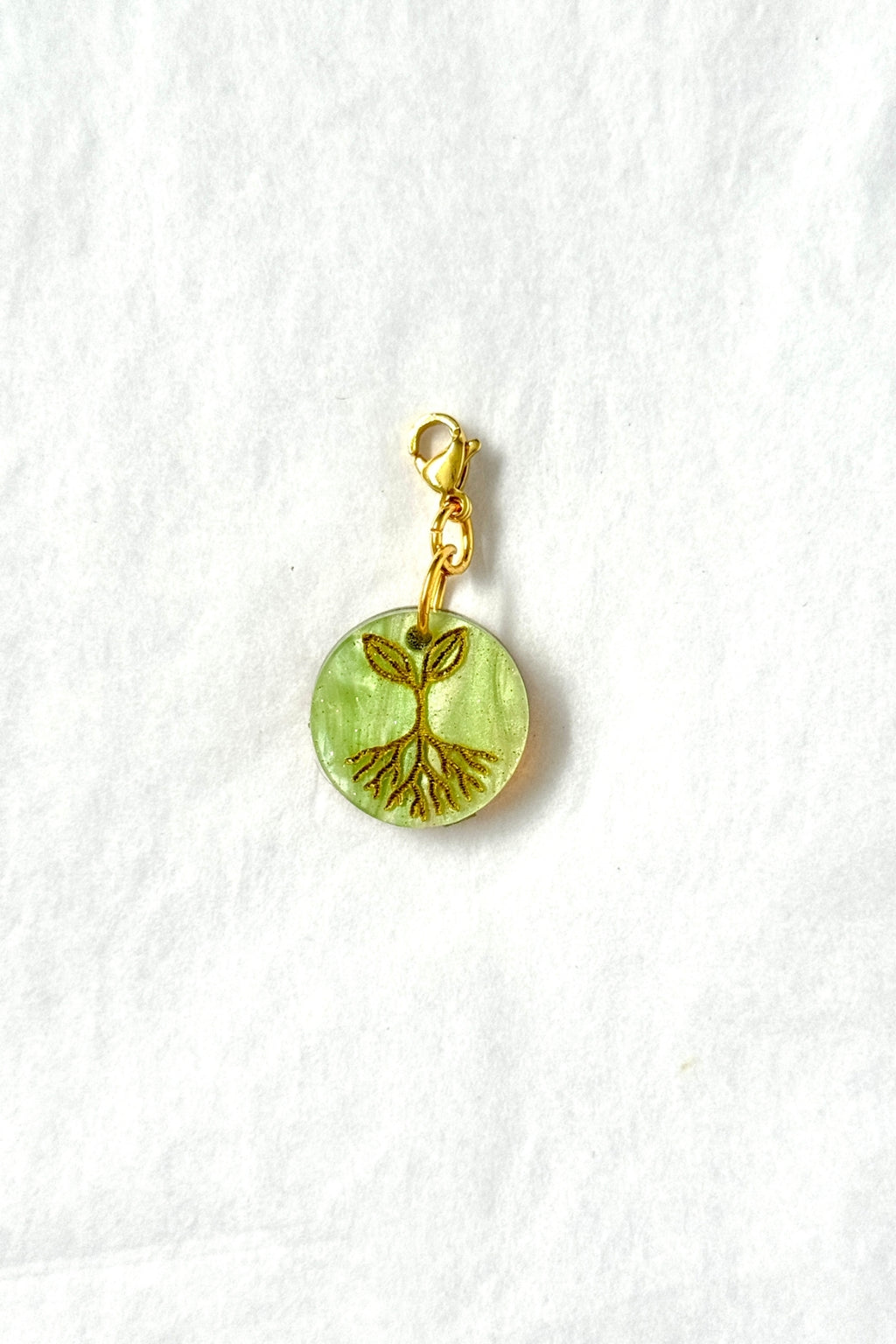 🌿 Semillas de la amistad – Raíces elegidas