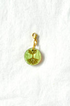 🌿 Semillas de la amistad – Raíces elegidas