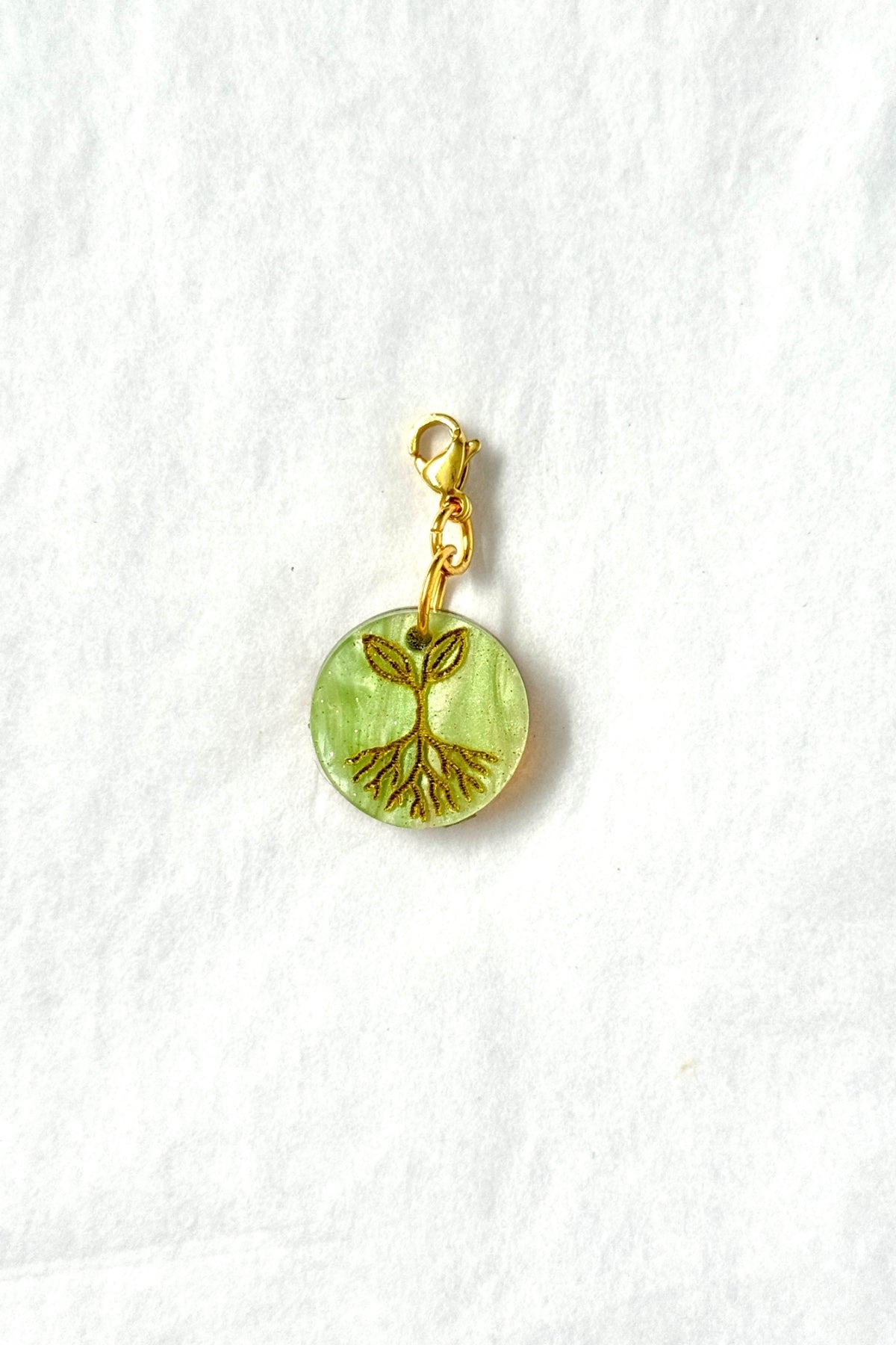 🌿 Semillas de la amistad – Raíces elegidas