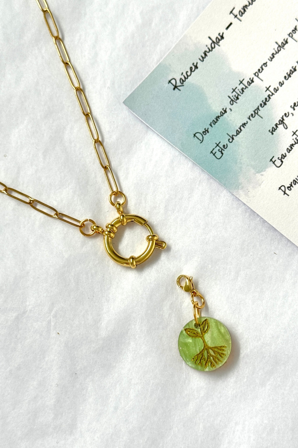 🌿 Semillas de la amistad – Raíces elegidas