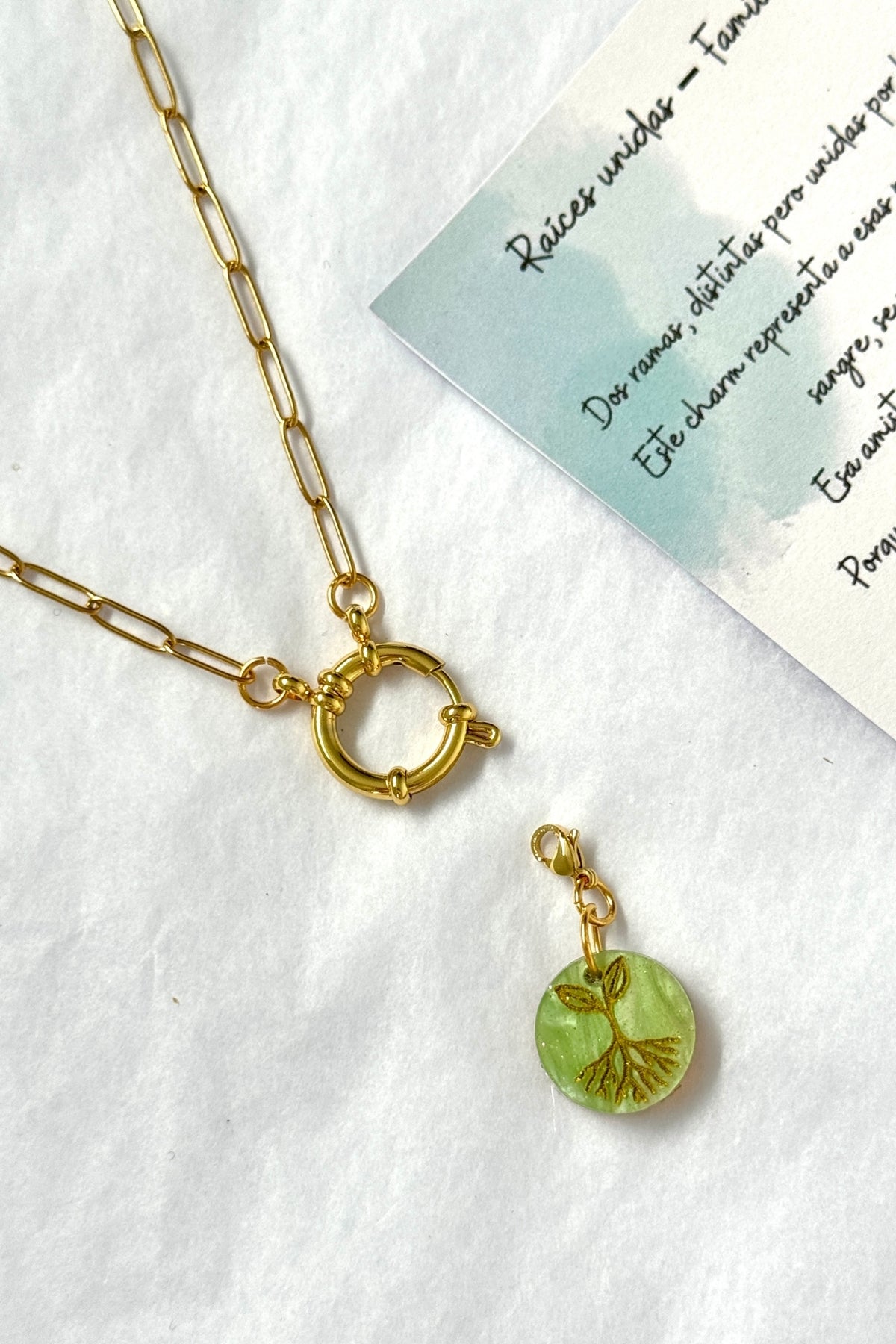 🌿 Semillas de la amistad – Raíces elegidas