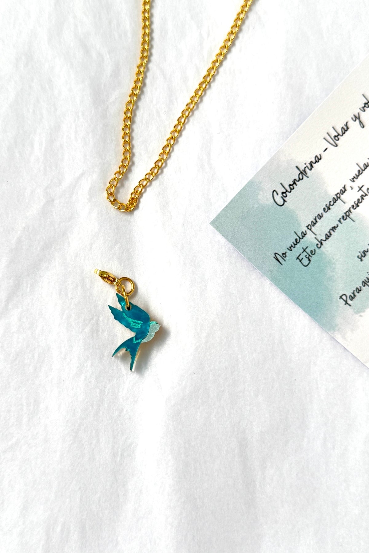 🕊️ Golondrina – Volar y volver