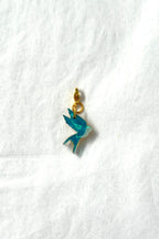 🕊️ Golondrina – Volar y volver