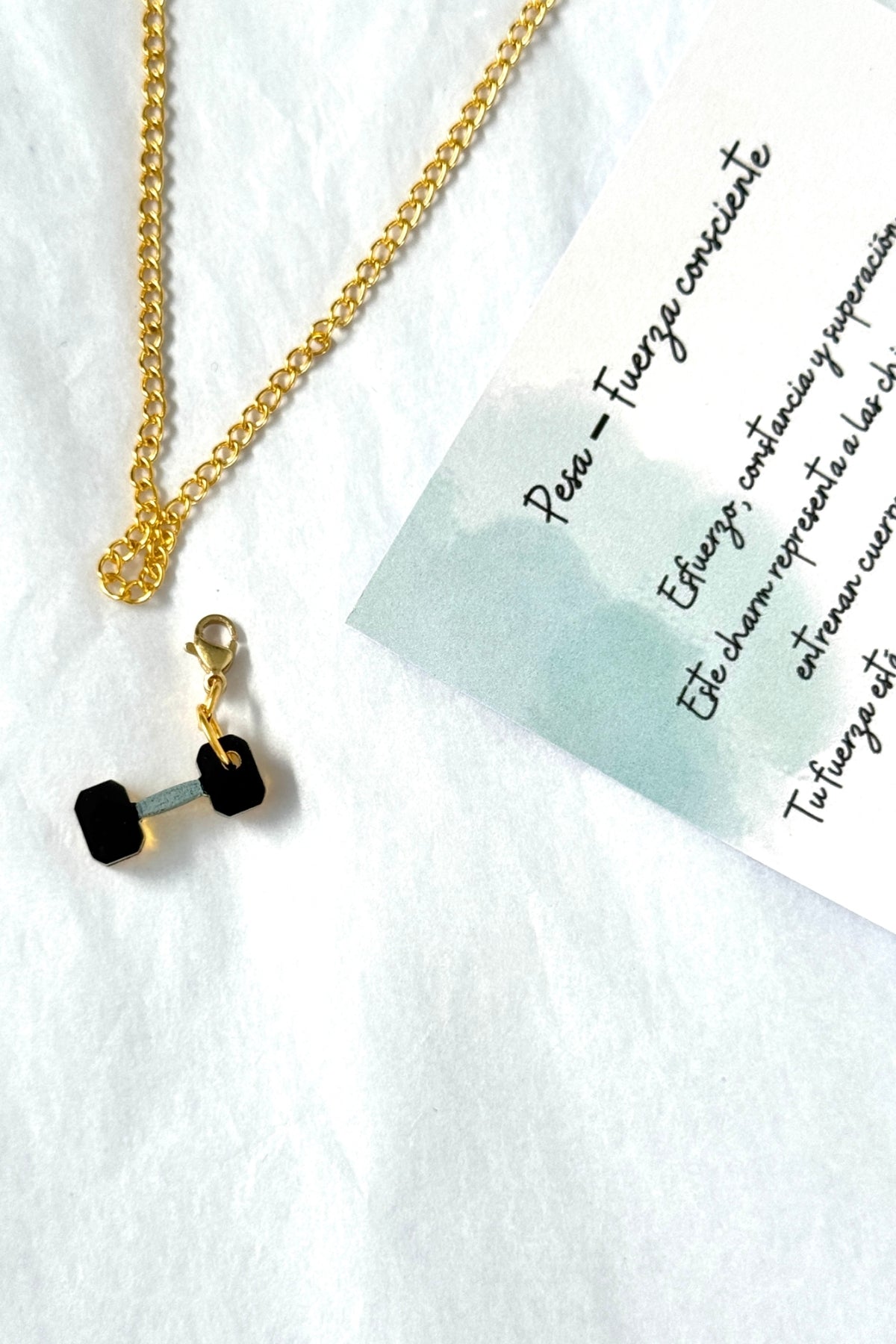 🏋️ Pesa – Fuerza consciente