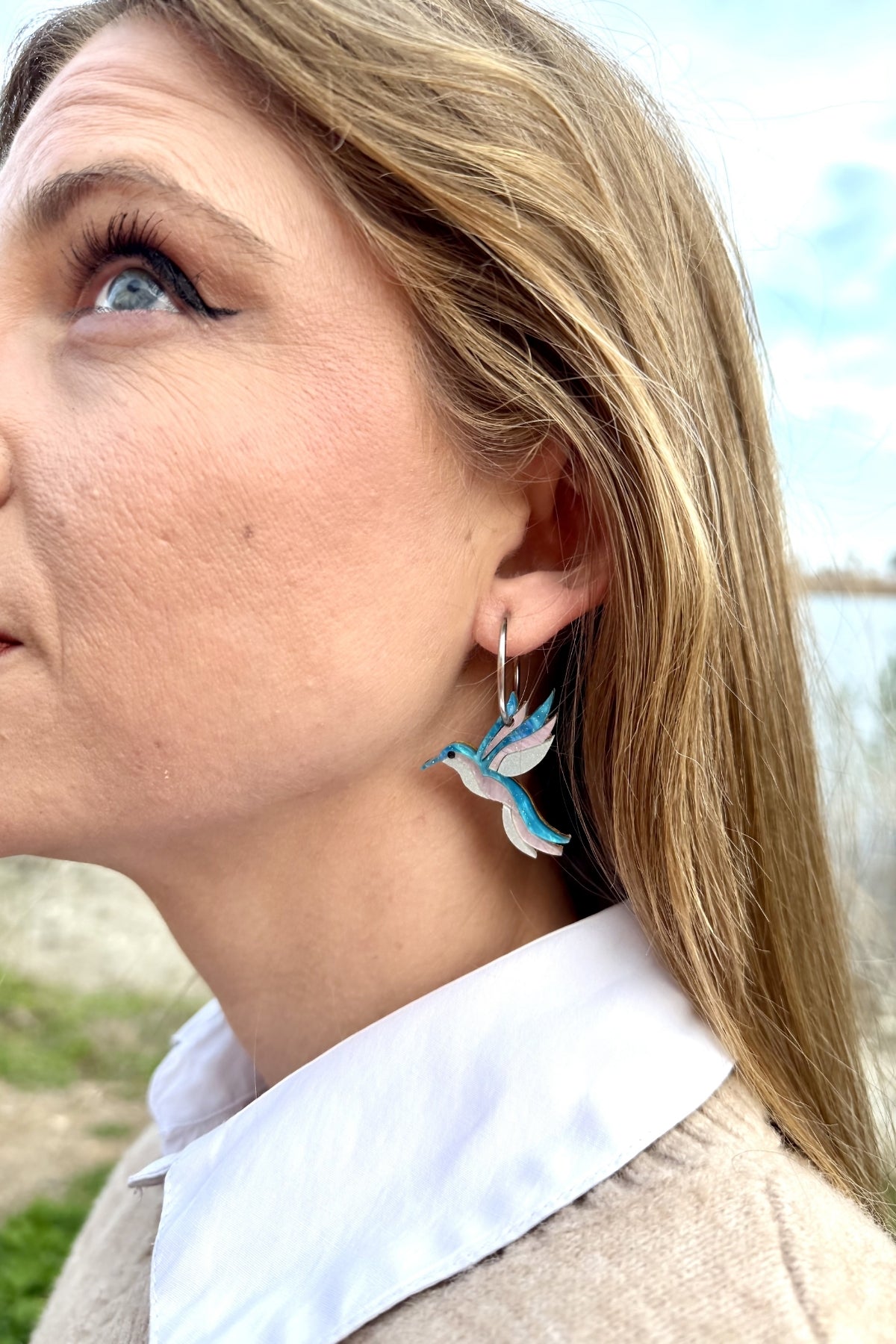 🕊 La Golondrina Mensajera