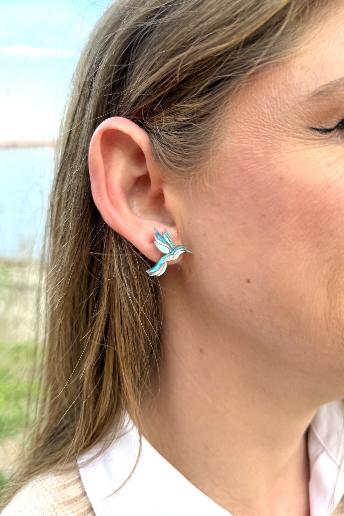 🕊 Mini Golondrina Mensajera