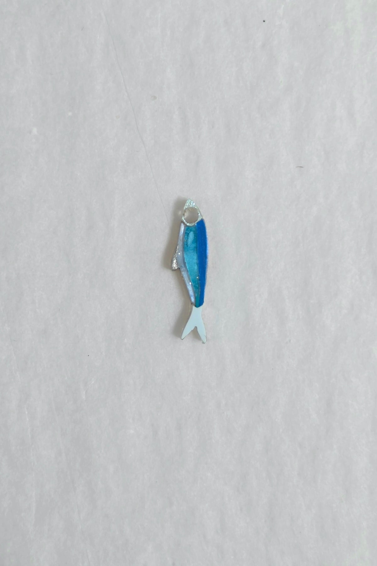 🐟  Sardina bonita (Mini/Charm)