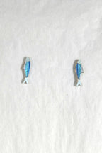 🐟  Sardina bonita (Mini)
