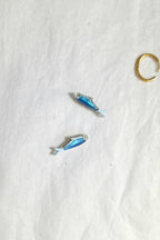 🐟  Sardina bonita (Mini)