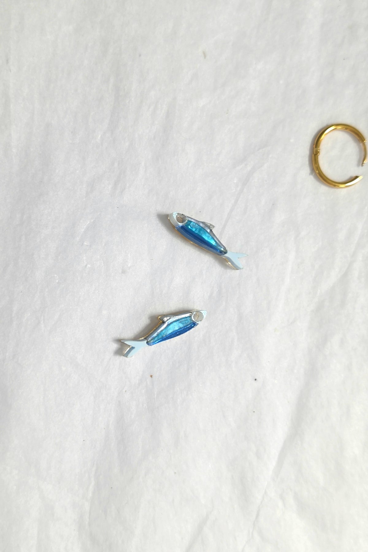 🐟  Sardina bonita (Mini)