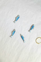 🐟  Sardina bonita (Mini)